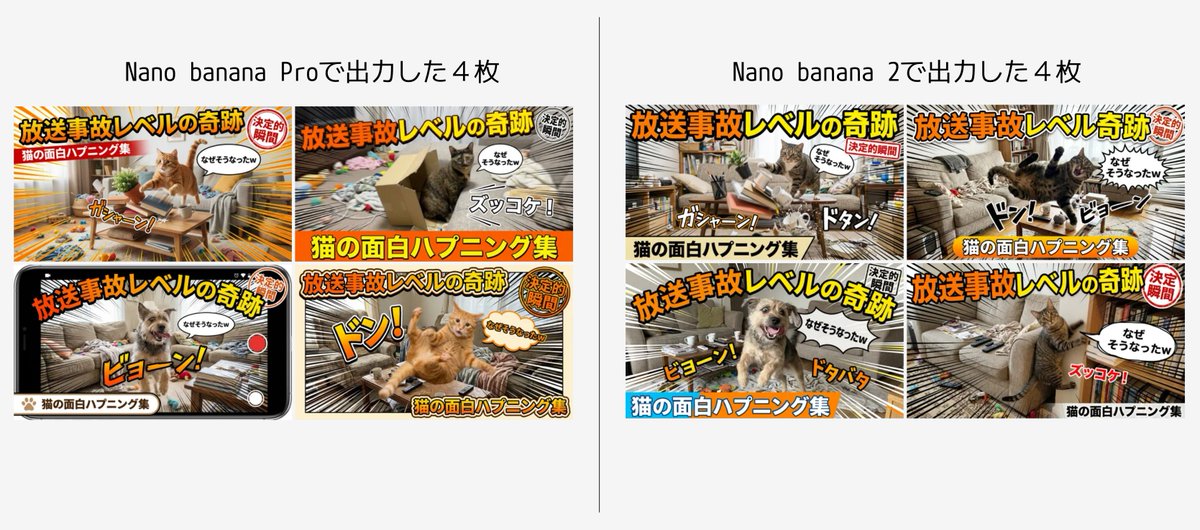 爆笑综艺风猫咪搞怪翻车集锦 效果图