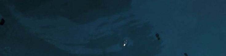 碧海仰拍：比莉艾利什的夏日自拍 效果图