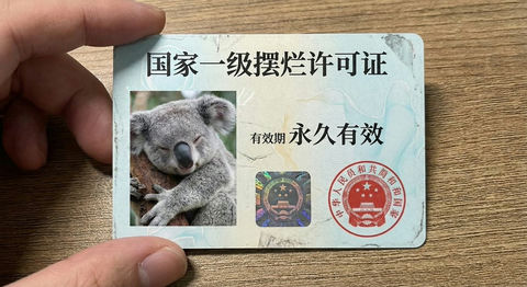 国家一级摆烂许可证 效果图